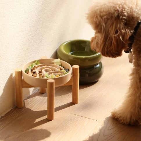 Slow Feeder Dog Bowls - Red / Green / Blue