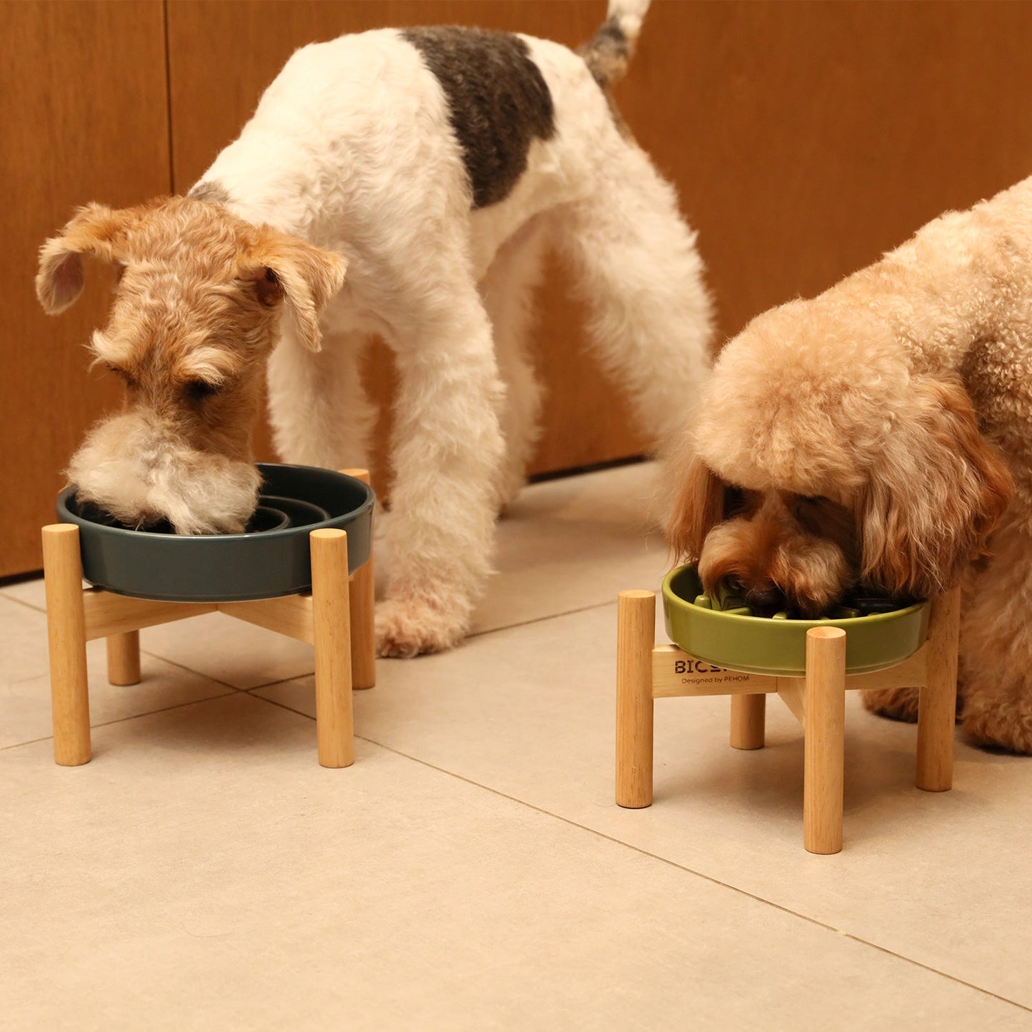 Slow Feeder Dog Bowls - Red / Green / Blue